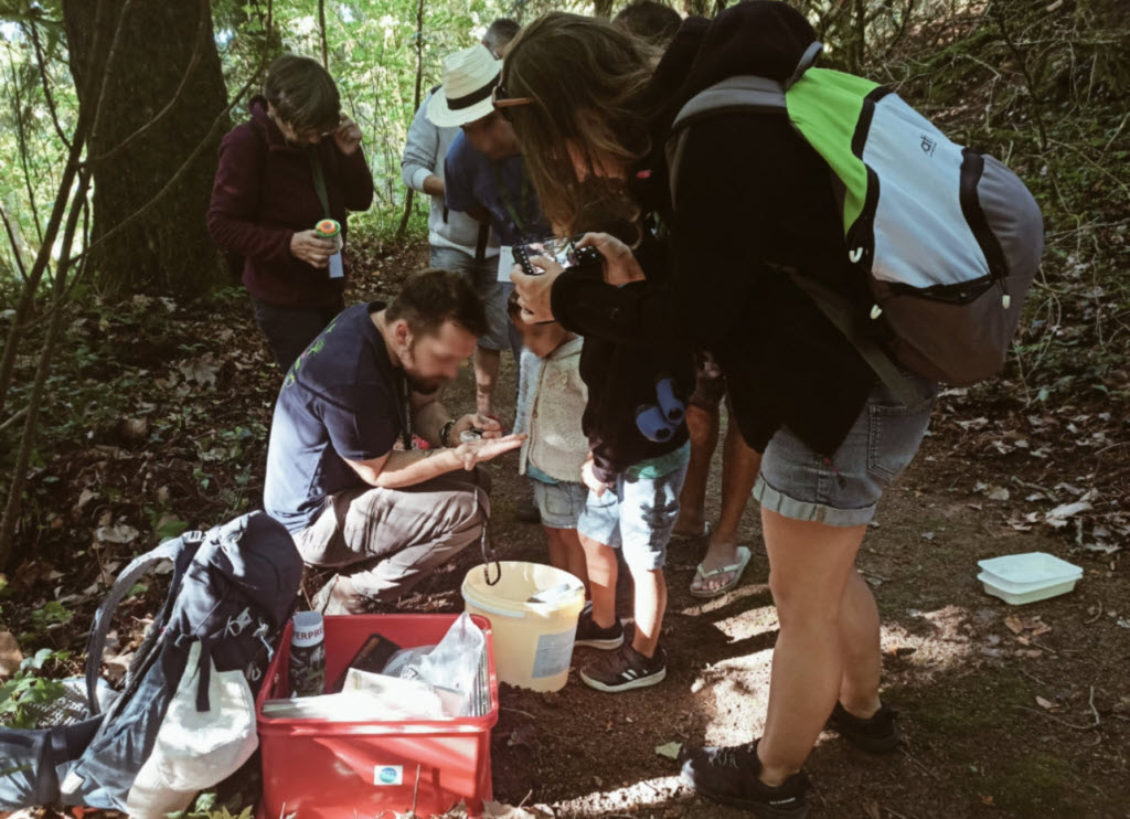 Atelier lors du grand défi de la biodiversité (photo du site de la CPIE)