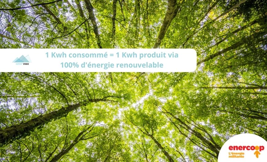 Tekoha choisit son fournisseur d’électricité